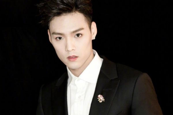 电视剧《当家主母》偶像歌手董又霖出演书砚?于正发文赞其演技?