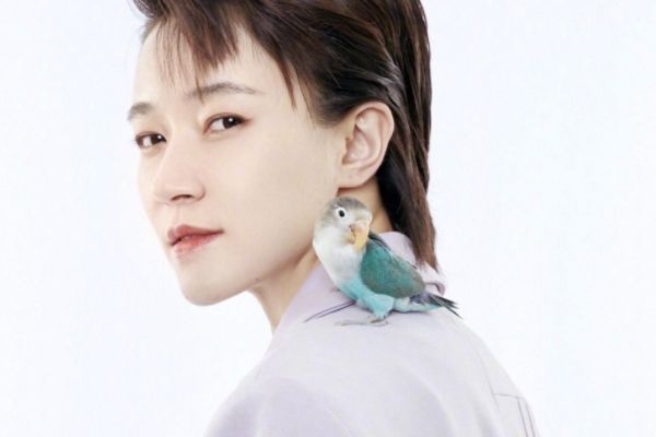 《完美证据》张若昀焦俊艳再次合作主演?共同演绎刑侦检故事?