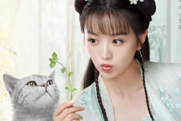 《我的宠物少将军》田曦薇演薄荷系少女苏小荷?古装造型有灵气?