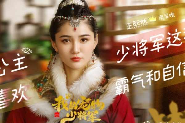 电视剧《我的宠物少将军》主演阵容都有谁?剧情内容讲述了什么?