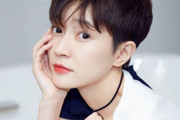 电视剧《完美证据》张若昀化身检察院公诉人?搭档女主是焦俊艳?