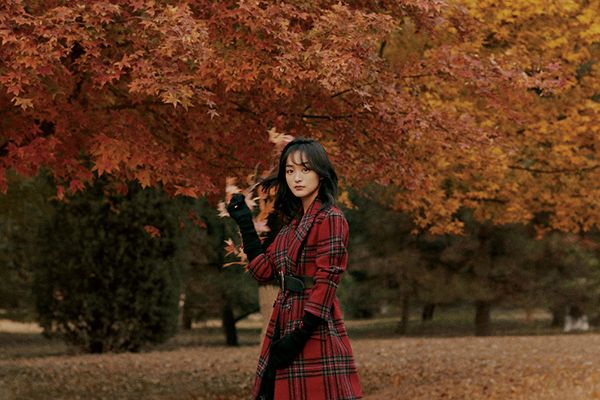 《岁岁青莲》何泓姗何润东首次合作?成长励志爱情故事情节精彩?