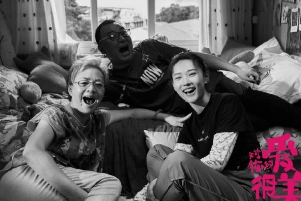 电视剧《对你的爱很美》导演是谁?韩晓军有哪些作品被我们熟知?