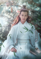 天乩之白蛇传说许宣