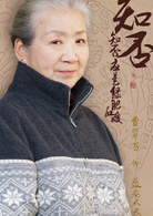 知否知否应是绿肥红瘦盛老太太