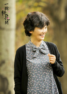 一树桃花开郑婉颐