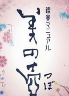 舞蹈风暴