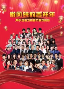 安徽卫视春晚历年合集