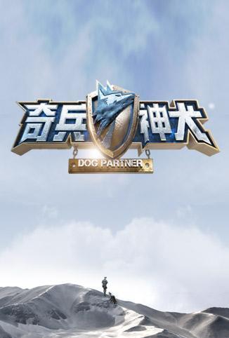 变形计 第十七季