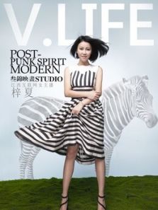 精英V.life