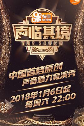 声临其境