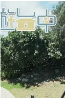 潮游台中