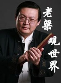 老梁观世界 2014