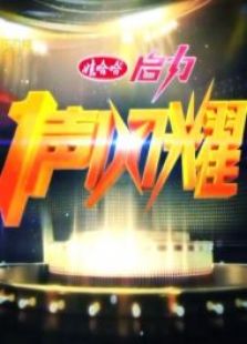 一声闪耀