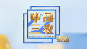 中国三农报道