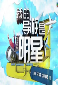 我的导游是明星S11