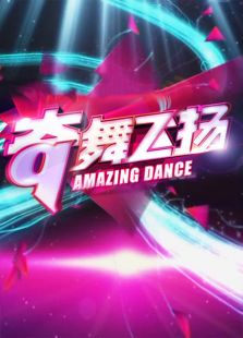 奇舞飞扬 2013
