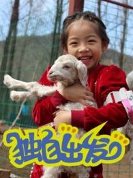 独自出发 第二季