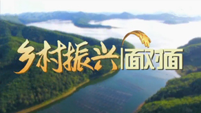 乡村振兴面对面