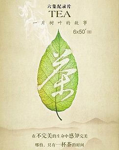 美好的时光 粉丝悠享版