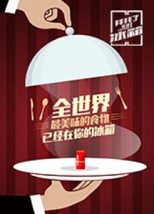 拜托了冰箱 中国版