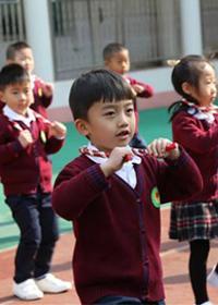 幼儿早操律动视频