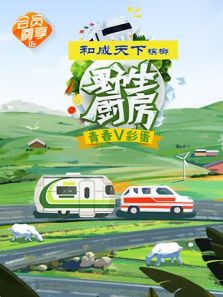 野生厨房 青春V彩蛋版