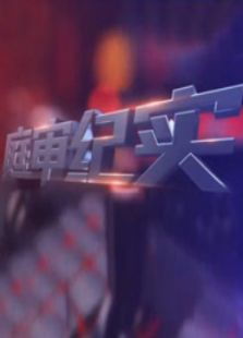 庭审纪实