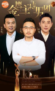 第13届中国金鹰电视艺术节开幕式
