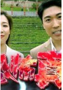 恐怖真相粤语版