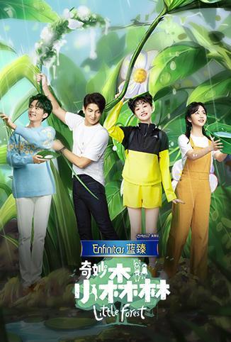 美妙旋律第二季