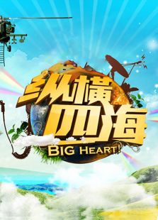 纵横四海 2012