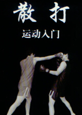 散打初学