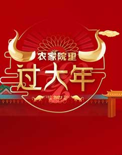 农家院里过大年 