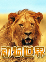中国好声音2018
