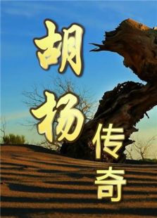 胡杨传奇