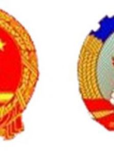 China Daily 时事政治