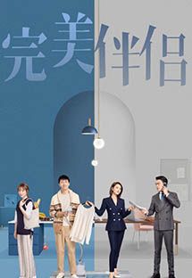 完美伴侣