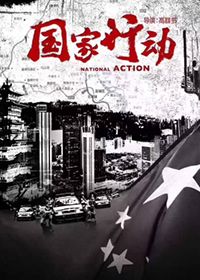国家行动